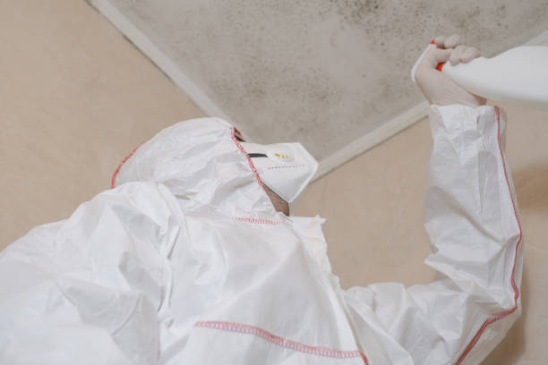 Best Crawl Space Mold Removal  in New Franklin, OH